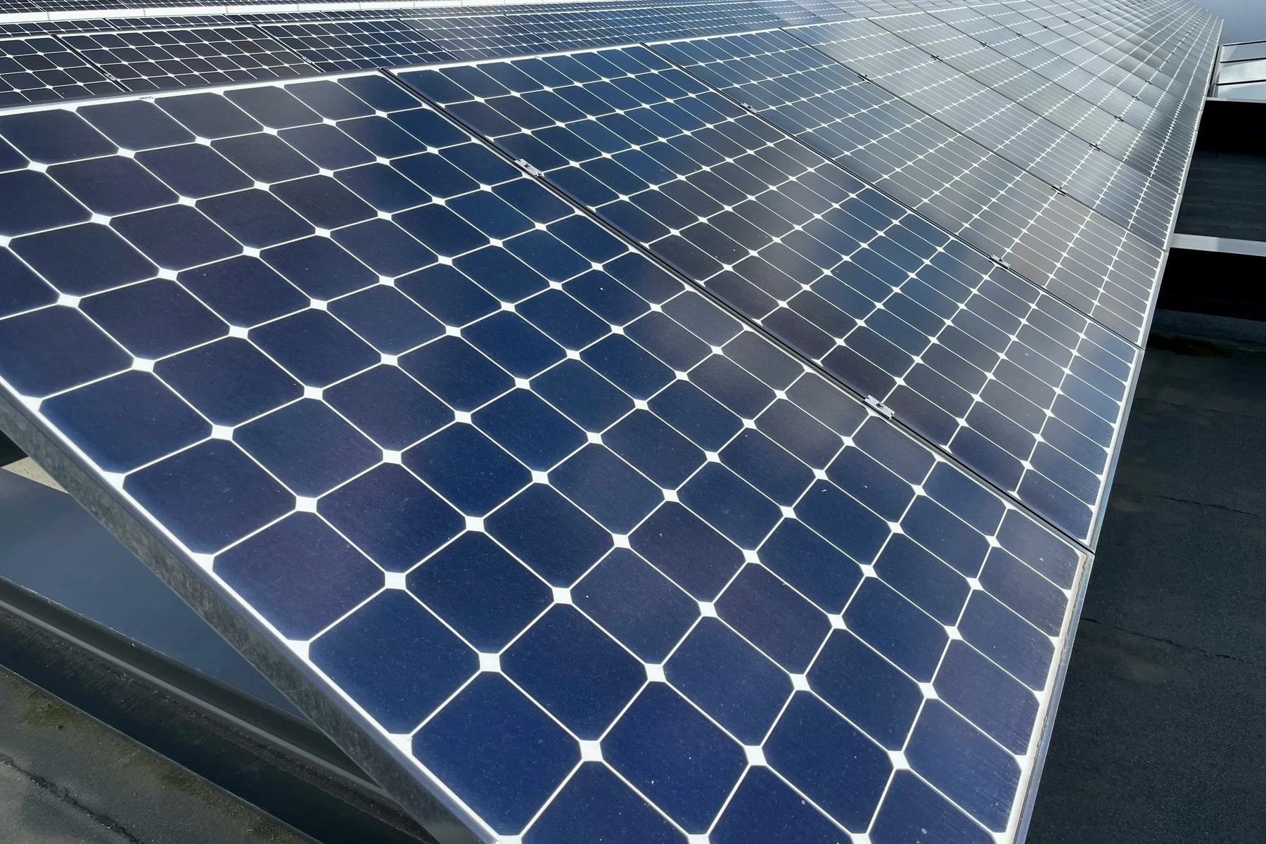Détail d'un module photovoltaïque Gros plan sur les cellules et le cadre métallique d'un panneau photovoltaïque